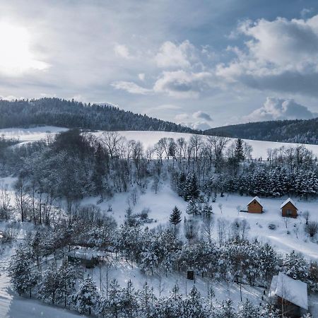 Villa Dobre Miejsce Ustrzyki Dolne Exterior foto