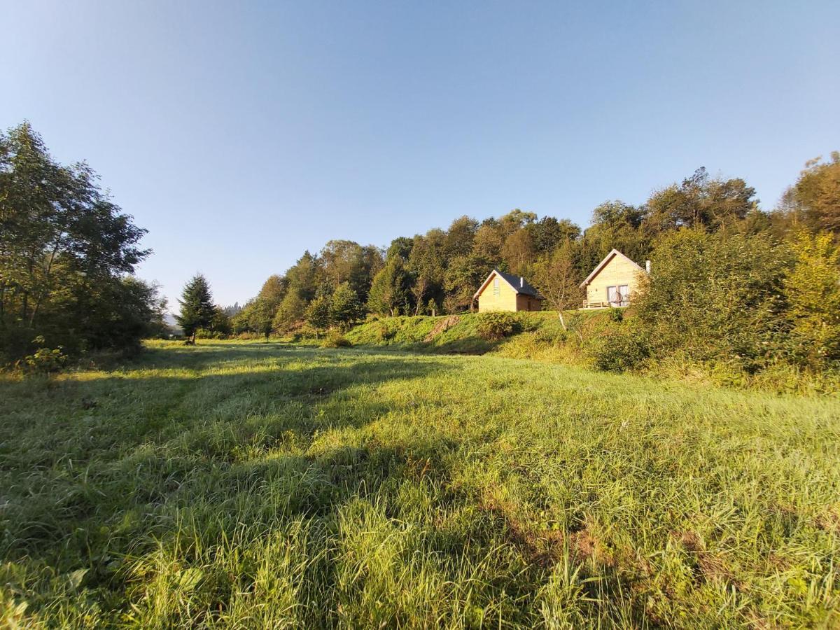 Villa Dobre Miejsce Ustrzyki Dolne Exterior foto